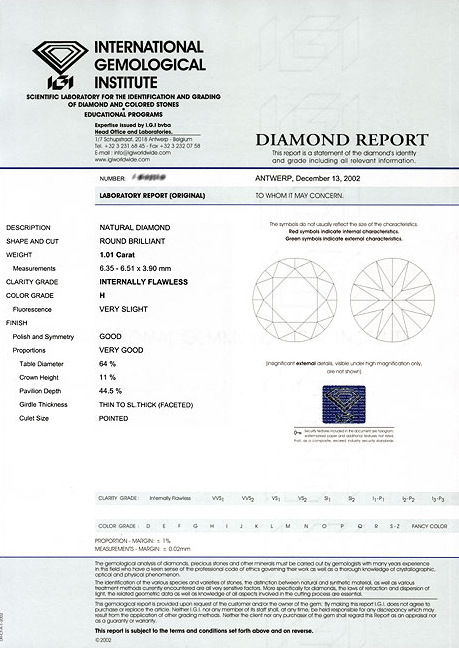 IGI Sample Report