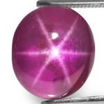 7.72-Carat Deep Purplish Red Star Ruby from Sri Lanka (Unheated)