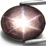 47.89-Carat Large Purplish Black Star Sapphire (AIGS-Certified)