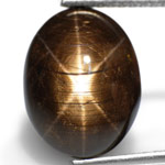 8.38-Carat Superb Golden-Black Star Sapphire from India (AIGS)