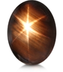 Black Star Sapphire with Golden Star