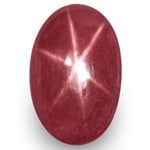 12.77-Carat Intense Pinkish Red Star Ruby from Vietnam (IGI)