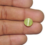 6.90-Carat Greyish Yellow Chrysoberyl Cat's Eye from India