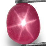 2.49-Carat Oval-Cut Pinkish Red Star Ruby from Mogok, Burma 2.49-Carat Oval-Cut Pinkish Red Star Ruby from Mogok, Burma