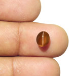 2.02-Carat Honey-Color Chrysoberyl Cat's Eye (Strong Chatoyance)