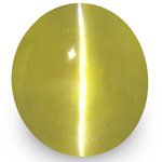 1.23-Carat Rich Greenish Yellow Ceylonese Chrysoberyl Cat's Eye