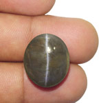 27.25-Carat Large Chrysoberyl Cat's Eye from Orissa, India