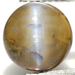 3.10-Carat Rare Honey Color Chrysoberyl Cat's Eye with Blue Eye