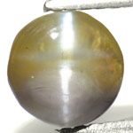 1.64-Carat Ceylon Chrysoberyl Cat's Eye