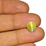 6.21-Carat Eye-Clean Greenish Yellow Chrysoberyl Cat's Eye