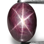 64.33-Carat Large Reddish Purple West-African Star Ruby (AIGS)