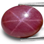 11.26-Carat Large Purplish Red Star Ruby from Vietnam (AIGS)