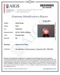 44.28-Carat Purplish Red Star Ruby from India (Unheated)
