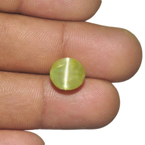 8.04-Carat Bright Greenish Yellow Indian Chrysoberyl Cat's Eye - Click Image to Close