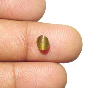 1.29-Carat Deep Yellowish Brown Sri Lankan Chrysoberyl Cat's Eye - Click Image to Close