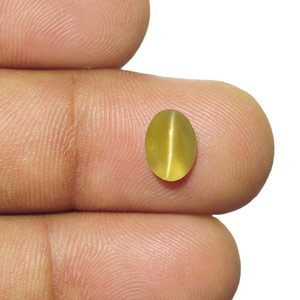 1.63-Carat Eye-Clean Yellowish Brown Chrysoberyl Cat's Eye (IGI) - Click Image to Close