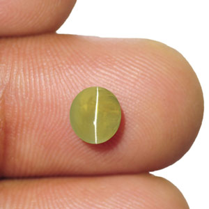 1.55-Carat Olive Green Chrysoberyl Cat's Eye from Sri Lanka - Click Image to Close