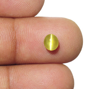 1.23-Carat Rich Greenish Yellow Ceylonese Chrysoberyl Cat's Eye - Click Image to Close