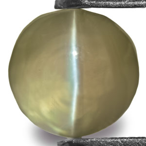 1.54-Carat Intense Green Alexandrite Cat's Eye from India - Click Image to Close