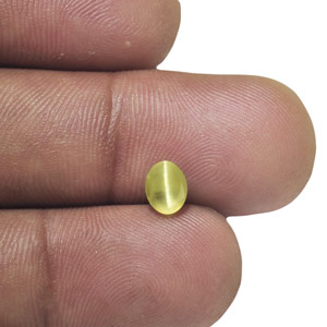 1.18-Carat Light Yellowish Green Chrysoberyl Cat's Eye - Click Image to Close