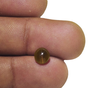 1.57-Carat Deep Brownish Honey Chrysoberyl Cat's Eye - Click Image to Close