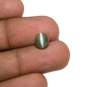 2.43-Carat IGI-Certified Chrysoberyl Cat's Eye from Madagascar - Click Image to Close