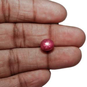 5.34-Carat Beautiful Pinkish Red Star Ruby from John Saul Mines - Click Image to Close