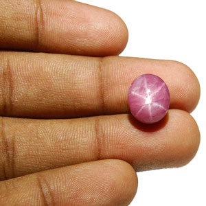11.08-Carat Indian Star Ruby with Super Sharp Star (AIGS) - Click Image to Close