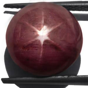 15.58-Carat Star Ruby (Intense Red with Golden Tinge) - Click Image to Close