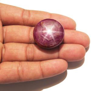 82.69-Carat Large Indian Star Ruby (Natural & Untreated) - Click Image to Close