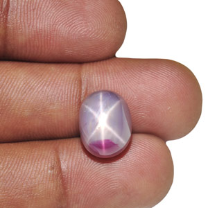 13.00-Carat Unique Bi-Color Mogok Star Sapphire with Sharp Star - Click Image to Close