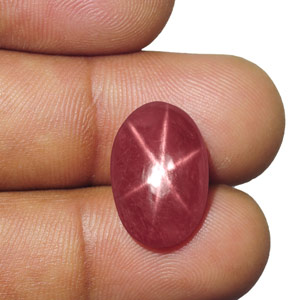 12.77-Carat Intense Pinkish Red Star Ruby from Vietnam (IGI) - Click Image to Close